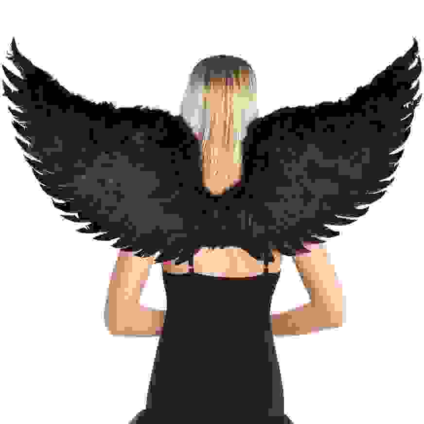 Dark Angel Halloween Wings | Party City